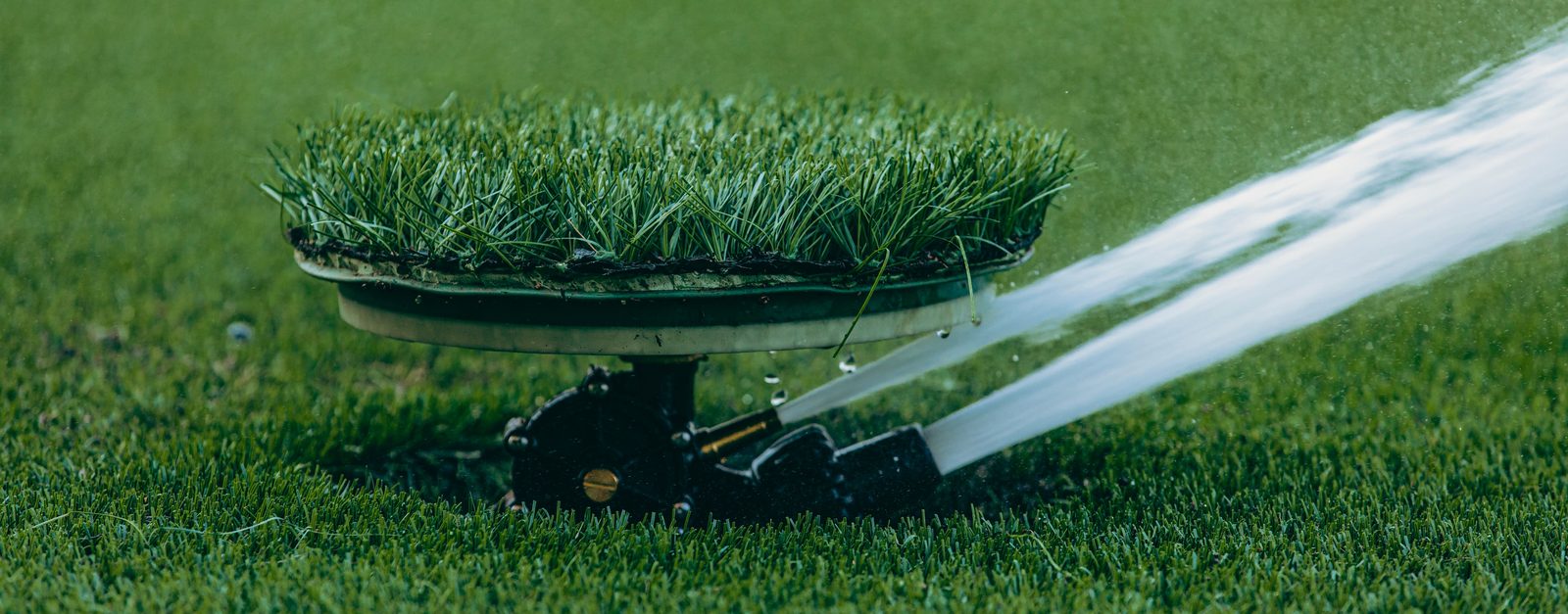 In-ground sprinkler head watering a lawn