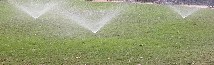 sprinklers